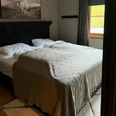 Fjellleilighet Med Ski-inski-out-tilgang Hemsedal