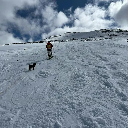 Fjellleilighet Med Ski-inski-out-tilgang Hemsedal